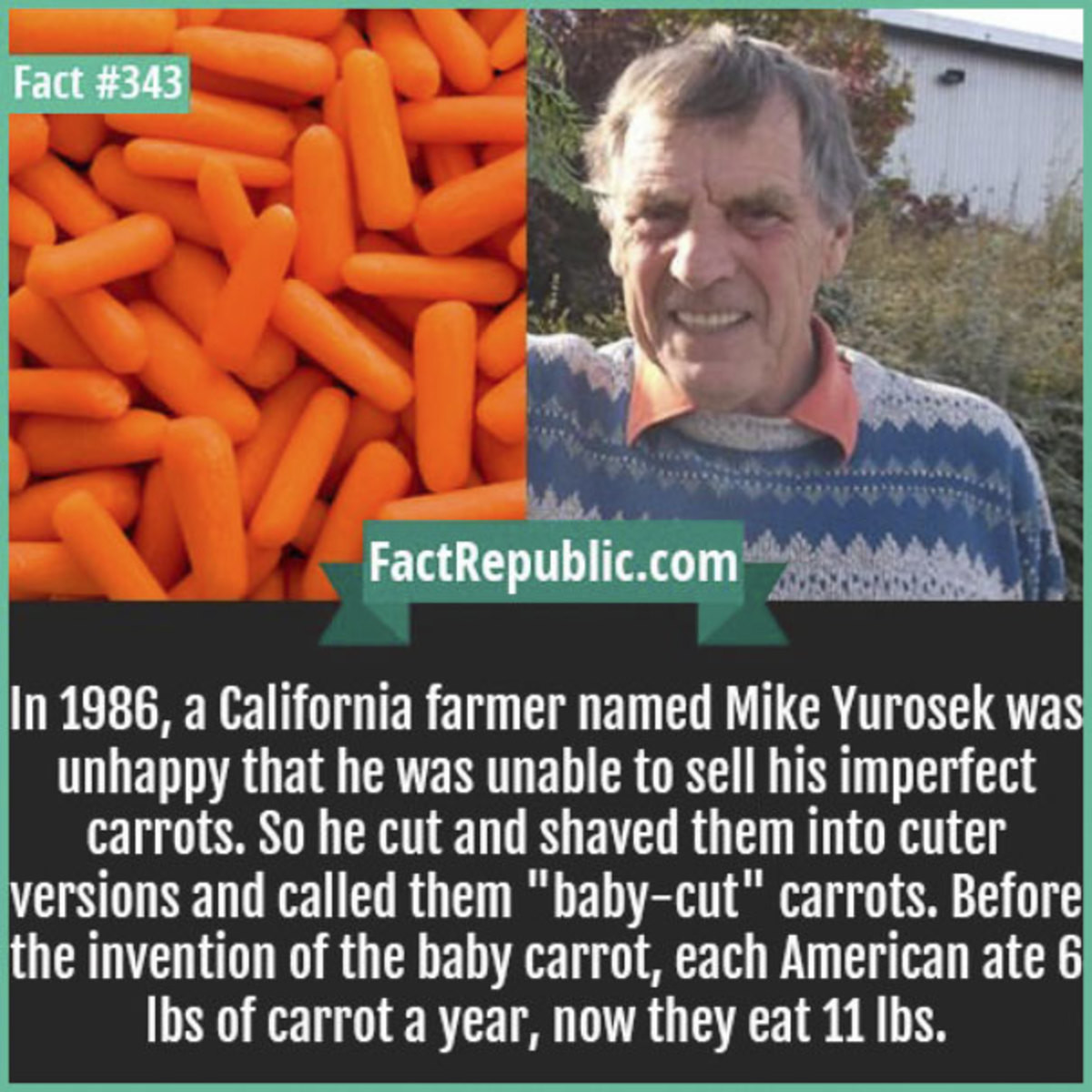 mor carrots.jpg